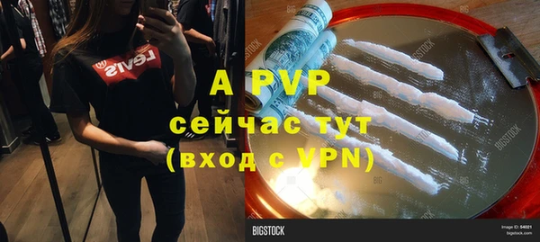 прущие грибы Болотное