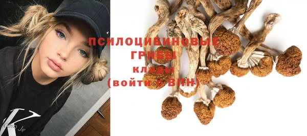гашишное масло Няндома