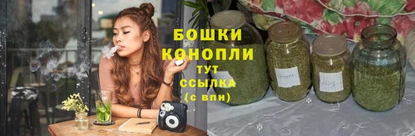 стаф Нягань