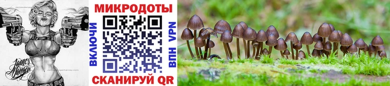 Псилоцибиновые грибы мухоморы  Монино 